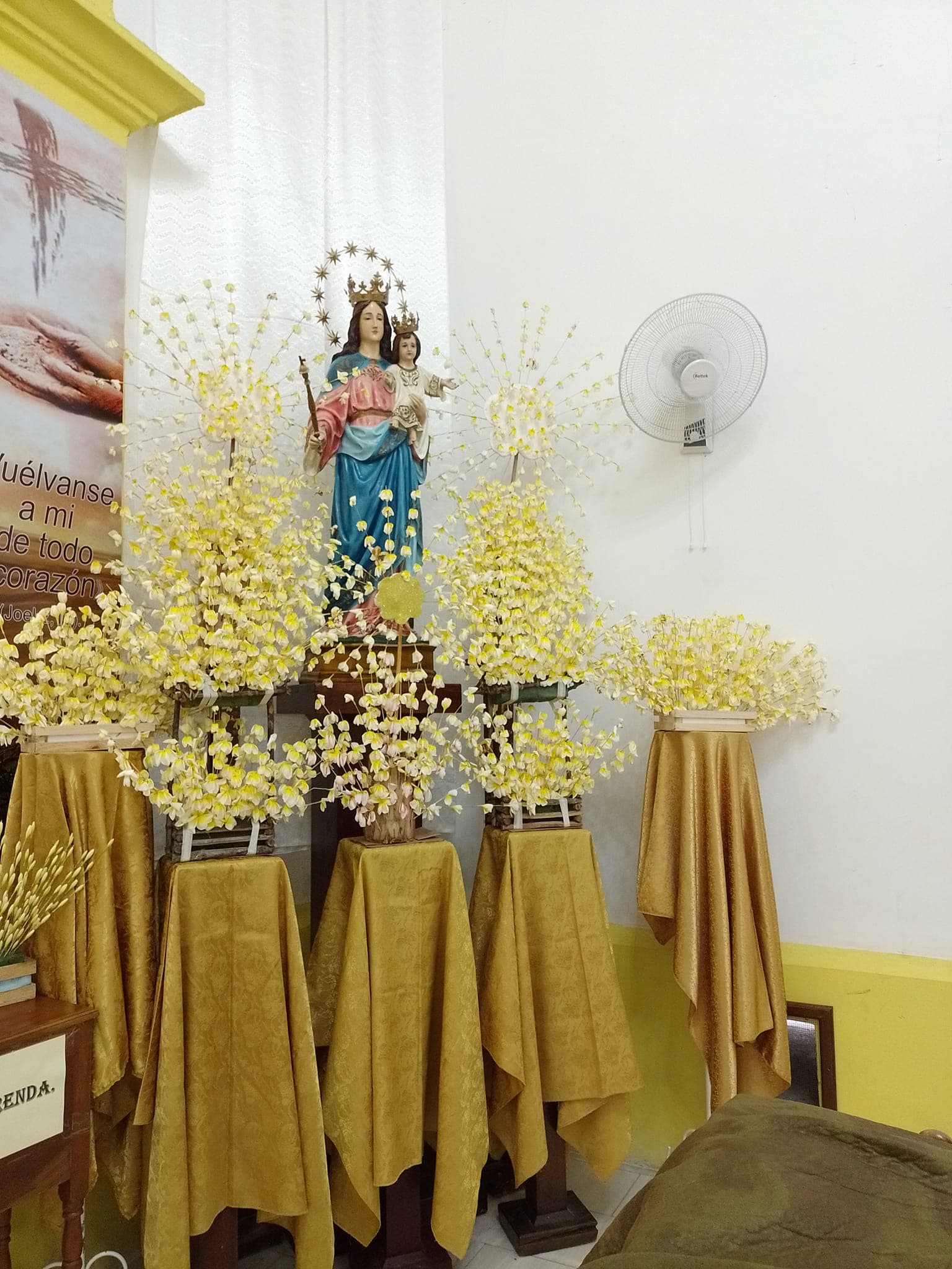 Enhiladera de Flor de Mayo